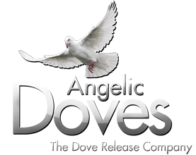 Angelic Doves